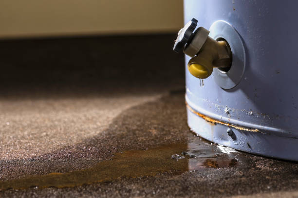 Best Carpet water damage restoration  in South Lancaster, MA