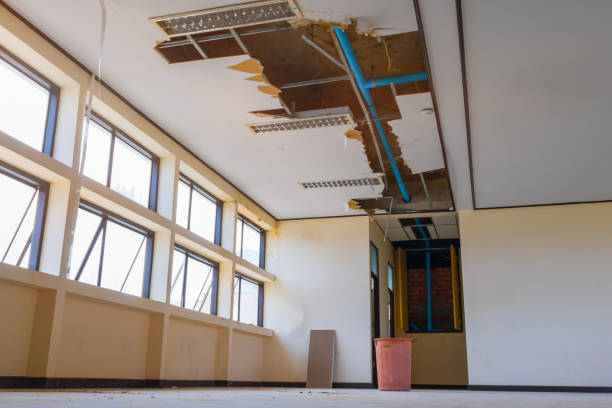 Best Water damage restoration near me  in South Lancaster, MA