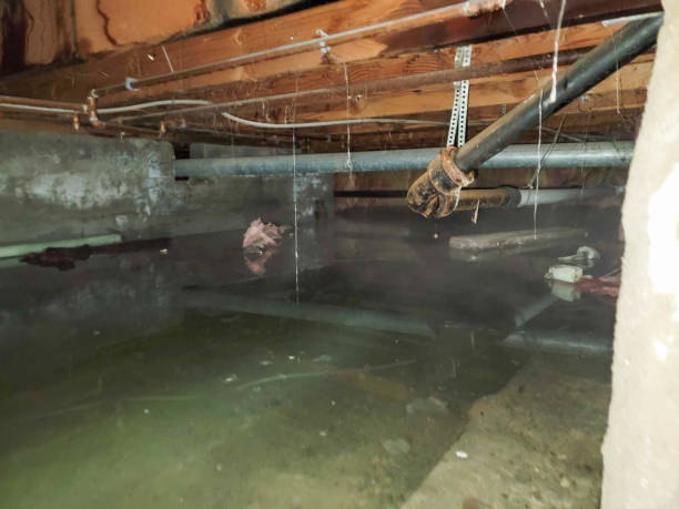 Best Emergency water damage restoration  in South Lancaster, MA