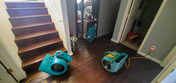 Best 24/7 water damage repair  in South Lancaster, MA