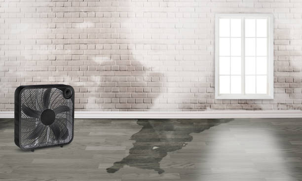 Best Water damage restoration process  in South Lancaster, MA