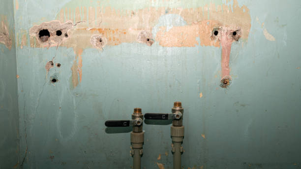 Best Flood damage cleanup  in South Lancaster, MA