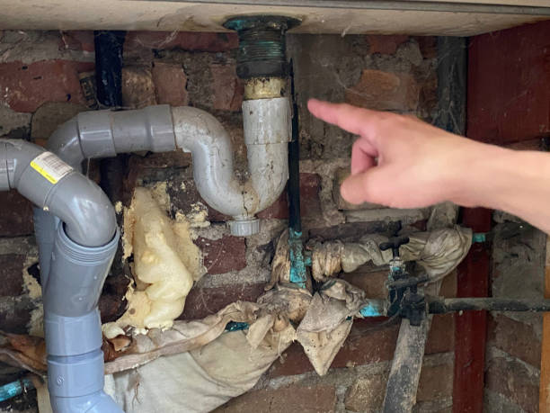 Best Water damage mitigation services  in South Lancaster, MA