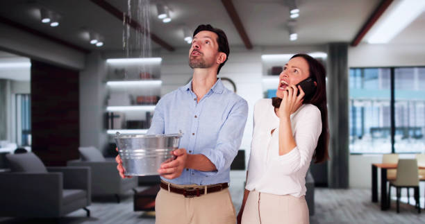 Best Flood restoration services  in South Lancaster, MA